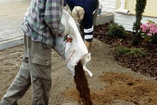 Zakładanie trawnika z rolki