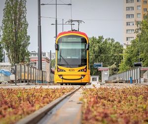 Tramwaj na Stegny coraz bliżej. Nie wszyscy mieszkańcy są zadowoleni