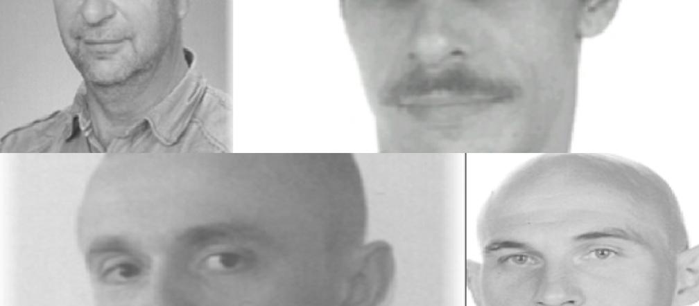Spis przestępców seksualnych. Styczeń 2020 