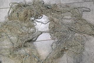 Młoda para robiła to nad Wisłą. Teraz grożą im 2 lata więzienia!