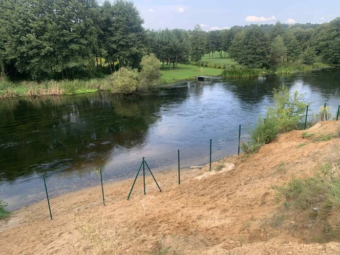 Dzika plaża w Bydgoszczy została zamknięta. Znamy powody decyzji