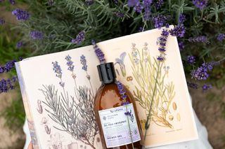 W harmonii z naturą: Pharma Care i Fundacja Pszczoła Musi Być tworzą „Leśny Ogród”