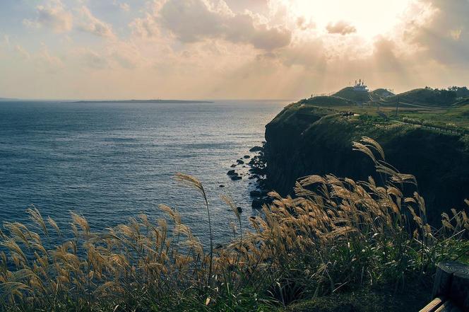 Jeju Korea w Katowice: Tak wygląda wyspa w Korei Południowej