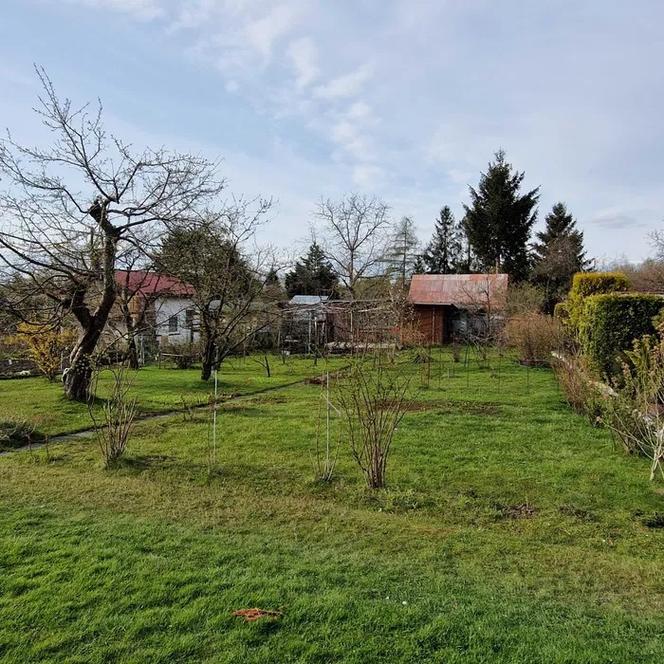 Ogródek działkowy w Bielsku-Białej. Cena: 45 tys. zł