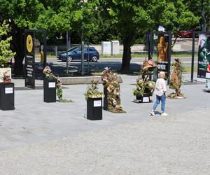 Weekend z florystyką w Lublinie. Zobacz imponujące roślinne instalacje w centrum miasta!