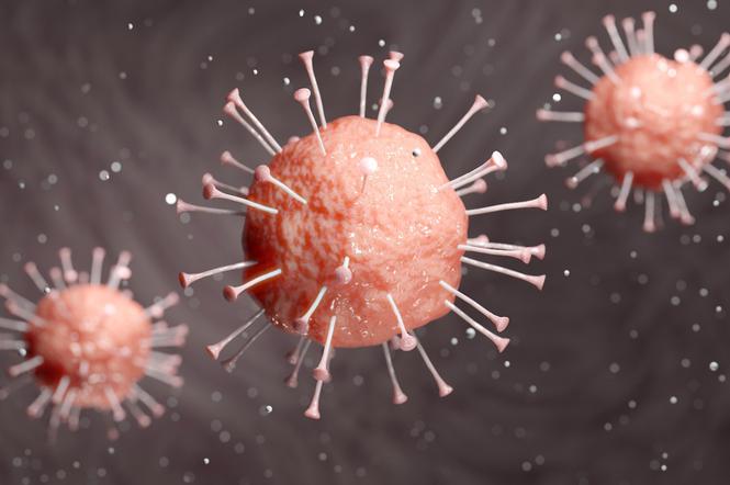 25 nowych przypadków koronawirusa! Są też na Podkarpaciu