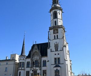 Polskie miasto zachwyciło zagraniczną turystkę. To perła Dolnego Śląska