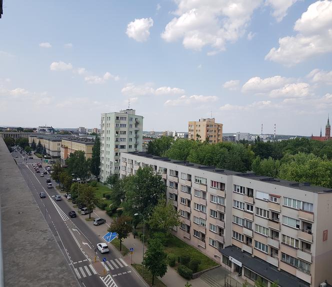 Odwiedziliśmy Letnią Czytelnię Książnicy Podlaskiej. Piękny widok na panoramę Białegostoku [ZDJĘCIA]