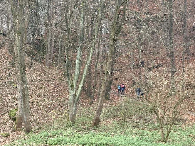 Najpiękniejsza wieś w Małopolsce zachwyca także jesienią. Leży na Szlaku Orlich Gniazd