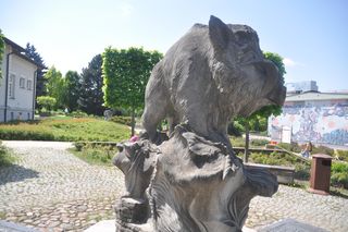 Pomnik Dzika Kiełka w Kielcach