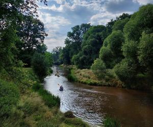 Spływ kajakowy - Meandry Odry