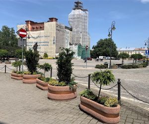 Mniej betonu. Więcej zieleni.  Tak ma być na nowosądeckim Rynku 