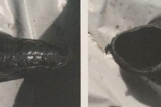 Ciało kobiety w Wiśle pod Kwidzynem! Policja prosi o pomoc w ustaleniu tożsamości [ZDJĘCIA].