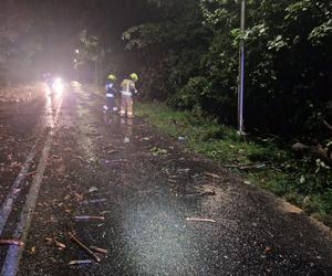 Burzowa noc w Śląskiem. Blisko 10 tys. osób bez prądu. Piorun popalił dom 