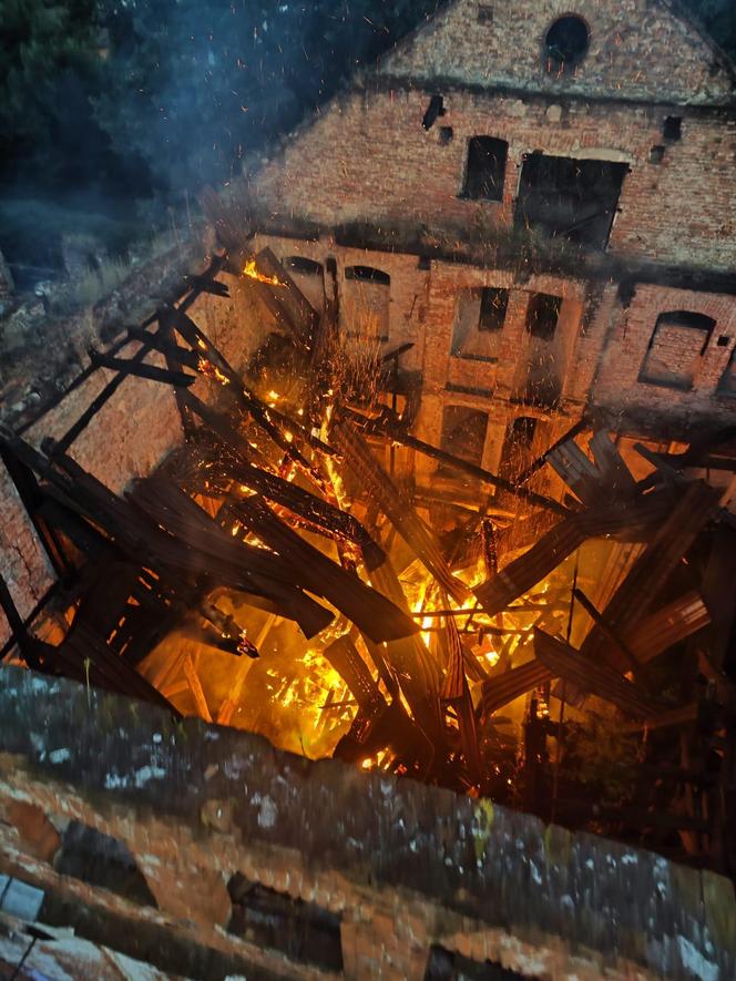 Pożar Młyna Szancera w Tarnowie, 23.07.2024 r.