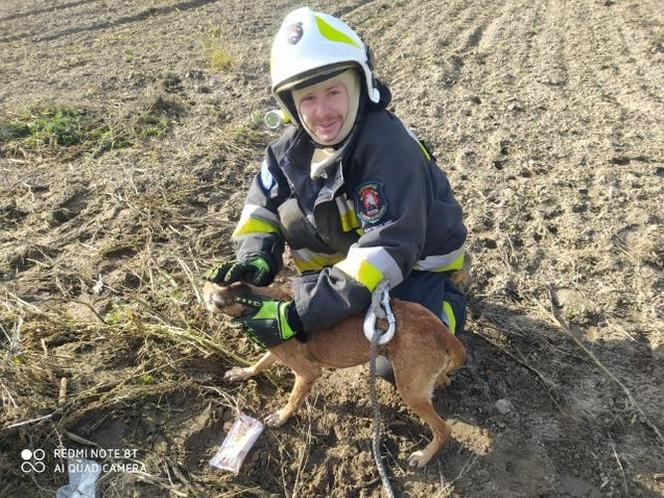 Strażacy OSP z Czempinia uratowali psa. Zwierzak wpadł do głębokiej studni