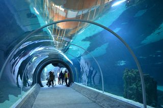 Orientarium w Łodzi