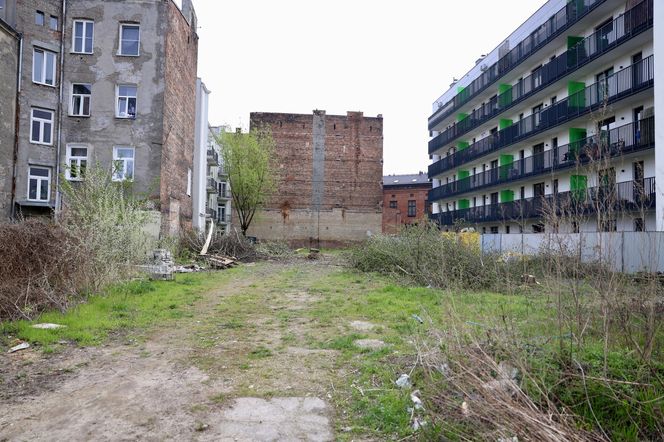 Deweloper nielegalnie wyciął dwa drzewa w Warszawie. Mieszkańcy oburzeni. „Będziemy reagować”