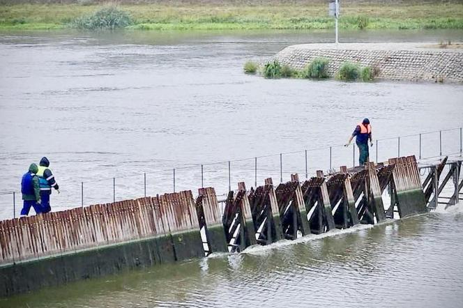 Wrocław. Przybywa wody w Odrze. Służby przygotowują się na falę powodziową 