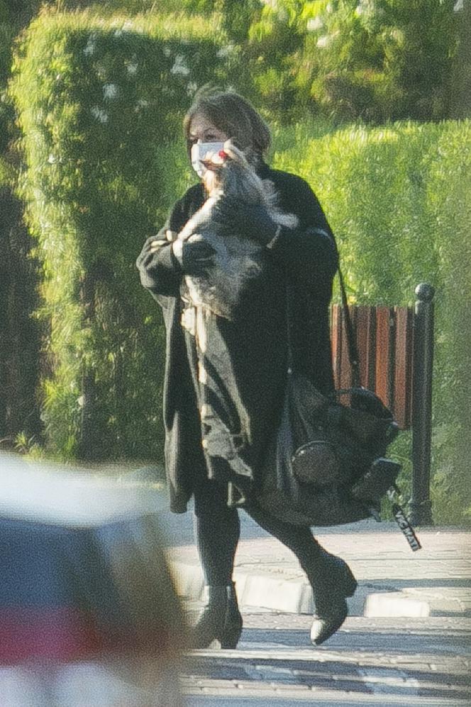 Daniel Olbrychski: Kowboj z Podkowy Leśnej