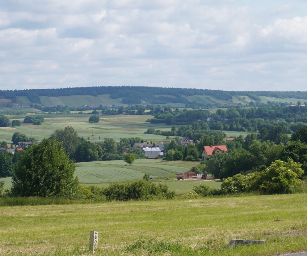 Góry Świętokrzyskie Podgórze koło Bodzentyna