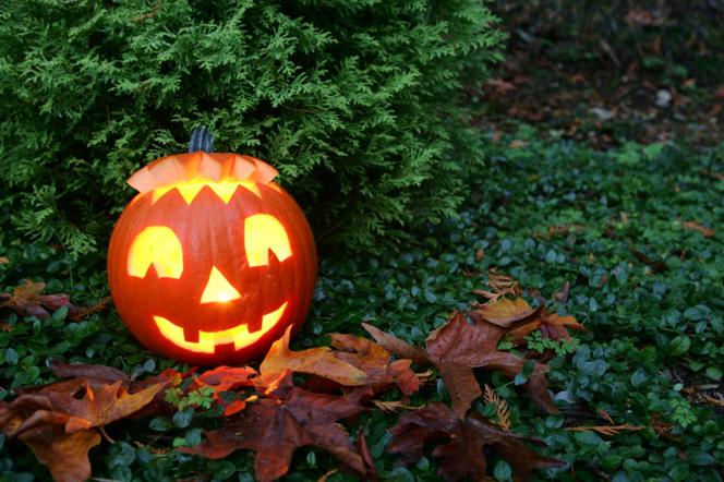 Dekoracje z dyni na Halloween