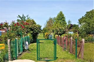 Ceny działek ROD w Szczecinie