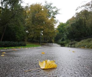 Ogród Saski w Lublinie w jesiennej odsłonie