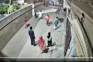 Lew rzucił się na dzieci i kobietę pośrodku ulicy! Oto, co stało się potem