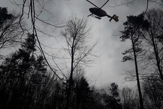 Mężczyzna przygnieciony przez drzewo