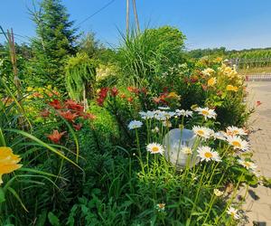 Światowy Dzień Fotografii. Z tych fotek są dumni nasi Czytelnicy! ZOBACZ