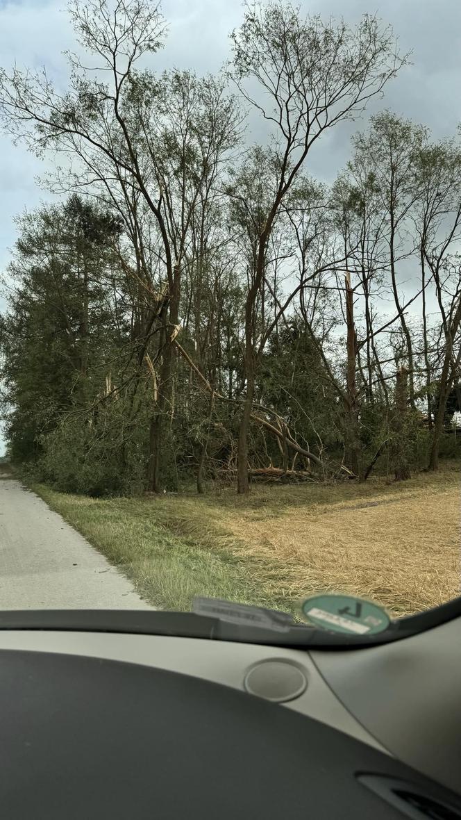 Burzowa noc w regionie Świętokrzyskim! Grad, połamane drzewa, zalane ulice