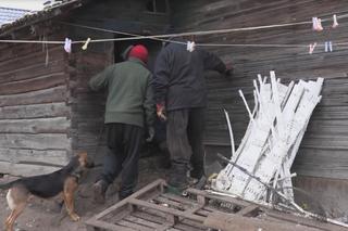 Rolnicy. Podlasie. Akcja wyciągania ramy okiennej z odchodów