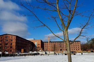 Idziwe wiosna w Młynach Rothera. Wiosna dla młodcyh. Znamy nowe cykle i wydarzenia zaplanowane na wiosnę 2025 