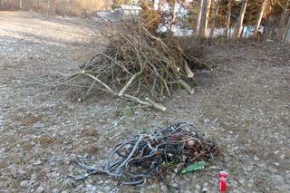 Szczecińscy strażnicy miejscy zatrzymali kolejnego truciciela