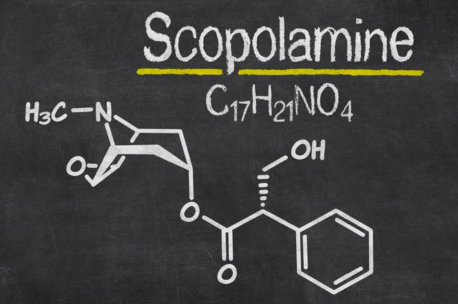 Skopolamina – lek na ból brzucha czy serum prawdy?