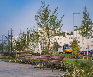 Park nad tunelem POW na Ursynowie - nowy odcinek otwarty na początku września 2025