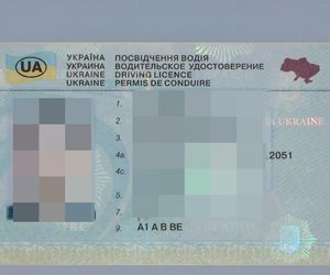 Fałszywe prawo jazdy na granicy