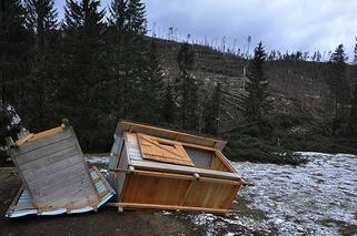 Halny w Tatrach. Połamane drzewa, uszkodzone domy