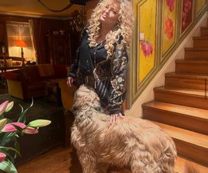 Te psy skradły serca gwiazd! Niektóre wyglądają jak z bajk