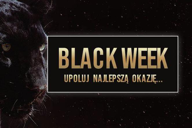 Promocje na Święta w Black Week!