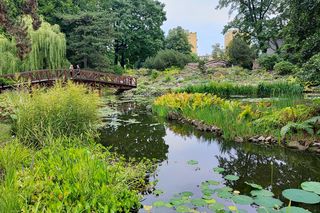Nowa palmiarnia we Wrocławiu. To będzie wielka atrakcja regionu 
