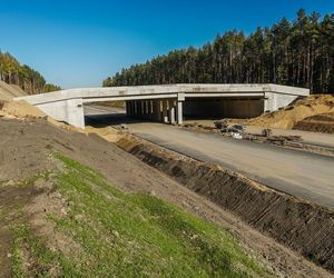 S19 Malewice-Chlebczyn w budowie