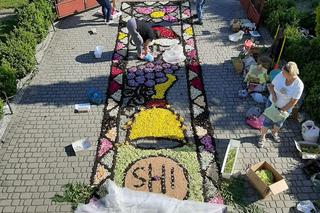 Dywan z kwiatów Świdnik