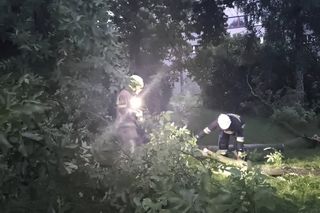 Orkan przechodzi przez województwo śląskie. Gwałtowne burze i ulewny deszcz