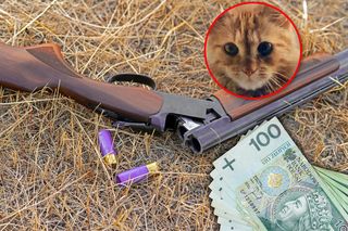 Kubuś zginął w męczarniach, jego zabójca dalej jest bezkarny. Nagroda pieniężna za wskazanie sprawcy