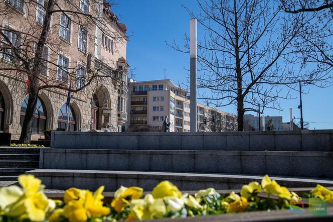 Olsztyn wraca do życia. Mimo epidemii centrum miasta rozkwita