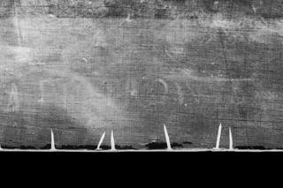 Odnaleziony obraz Chełmońskiego