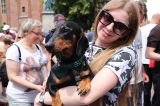 Zlot jamników w Toruniu