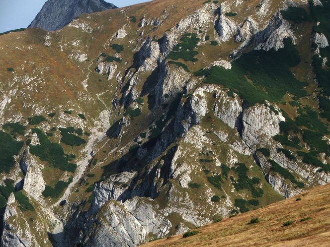 Kobylarzowy Żleb w Tatrach